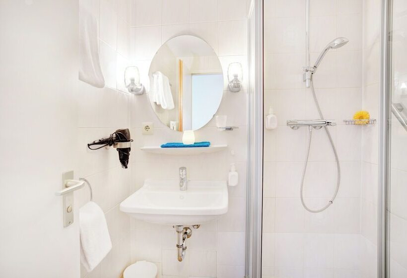 اتاق استاندارد یک نفره, Ambassador Thecontinents