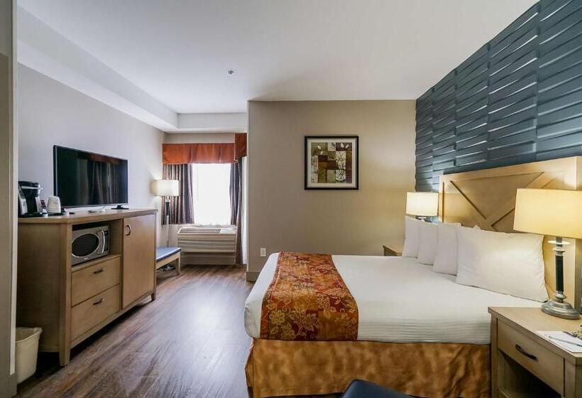 חדר סטנדרט עם מיטת קינג, Best Western Peace Arch Inn