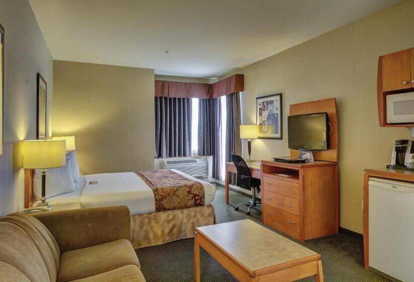 חדר סטנדרט עם מיטת קינג, Best Western Peace Arch Inn