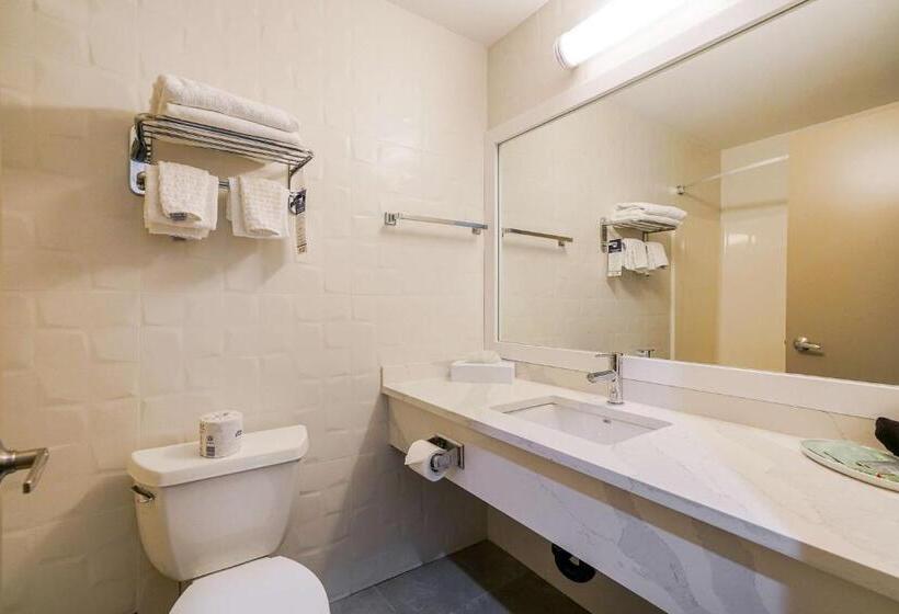 غرفة قياسية, Best Western Peace Arch Inn