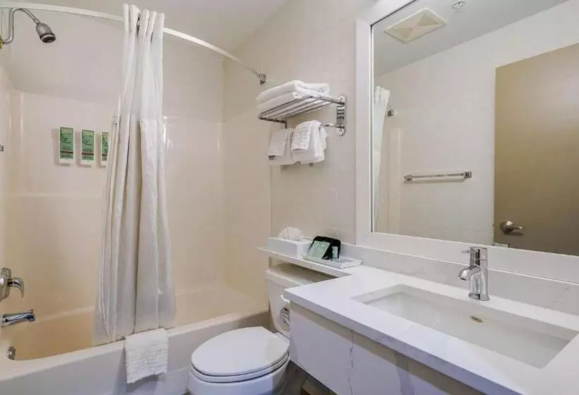 اتاق استاندارد, Best Western Peace Arch Inn