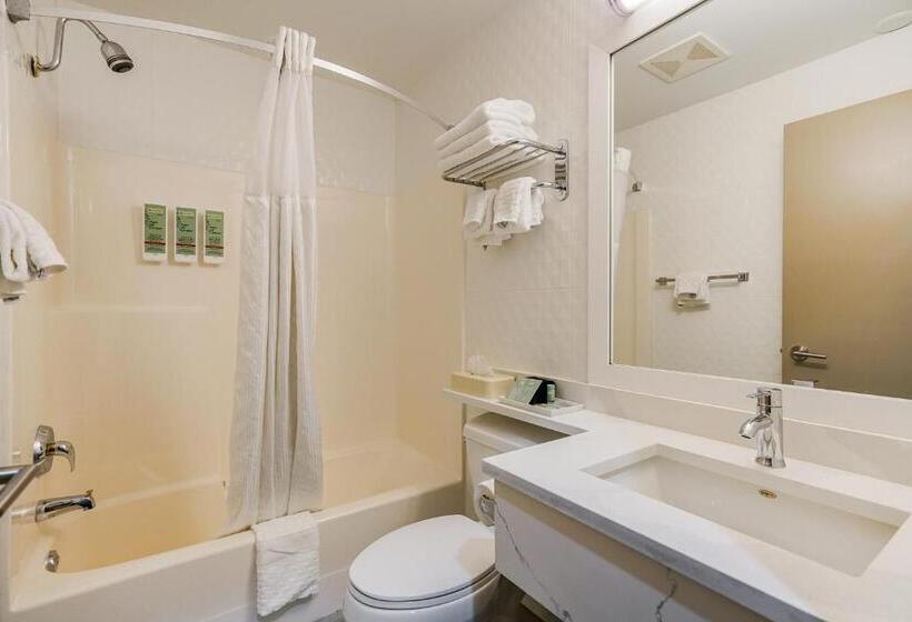 غرفة قياسية, Best Western Peace Arch Inn