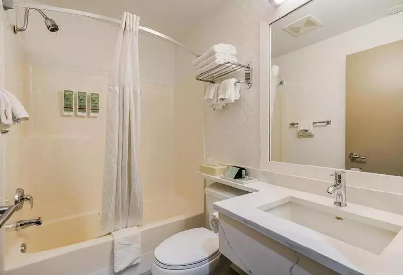 اتاق استاندارد, Best Western Peace Arch Inn