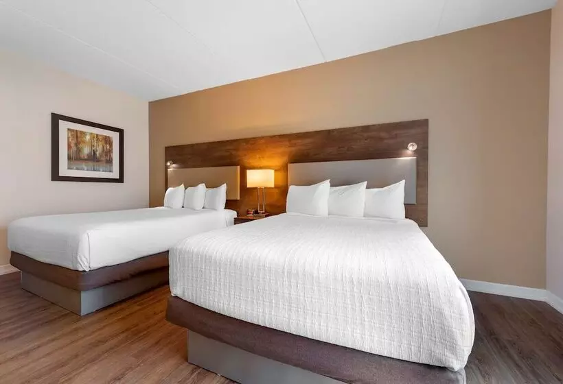 ２ダブルベッドのスタンダードルーム, Best Western Plus Perth Parkside Inn & Spa
