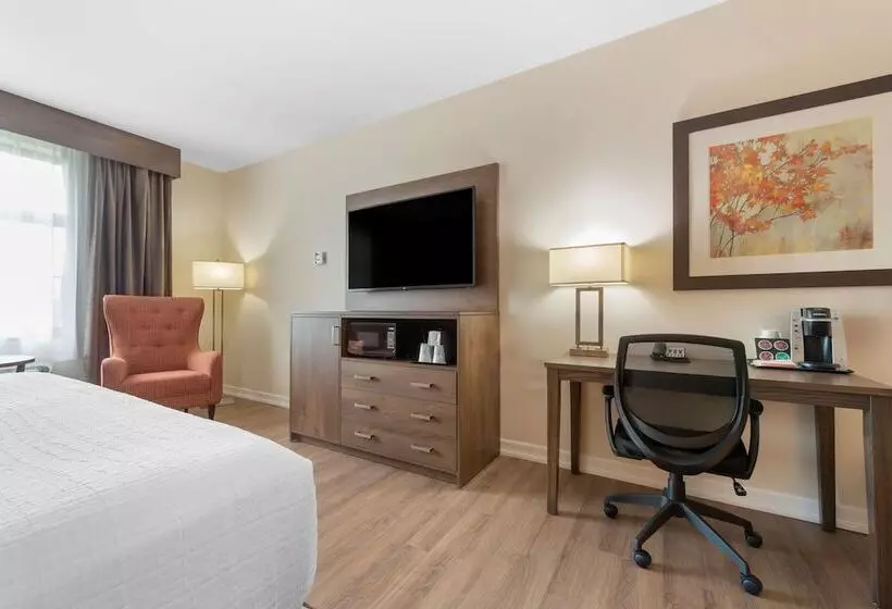 ２ダブルベッドのスタンダードルーム, Best Western Plus Perth Parkside Inn & Spa