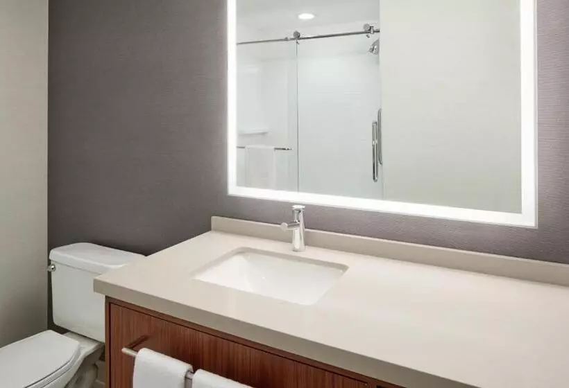 اتاق استاندارد با تخت بزرگ, Courtyard By Marriott Mississaugaairport Corporate Centre West