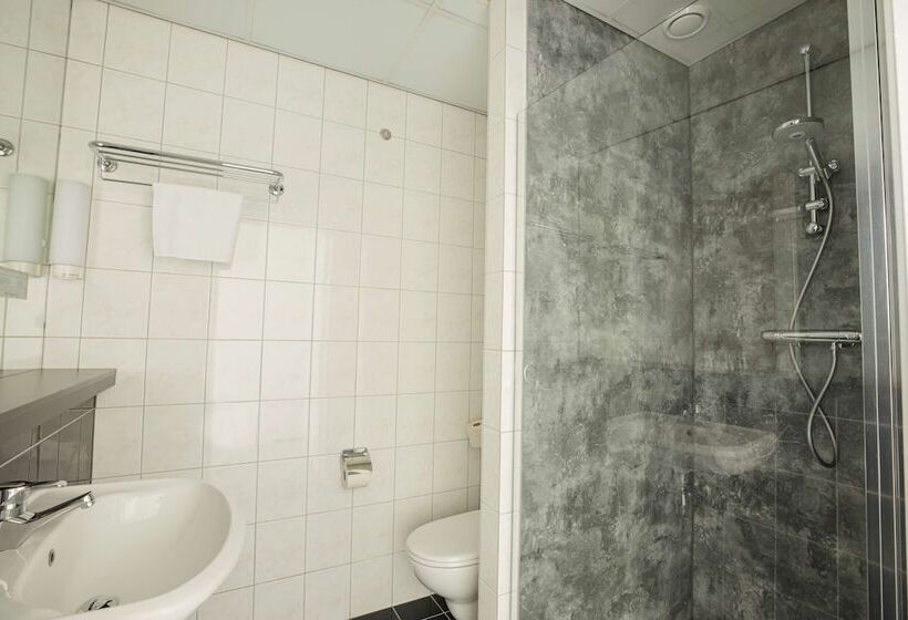 اتاق استاندارد, Flonk Hotel Groningen Centre, Bw Signature Collection