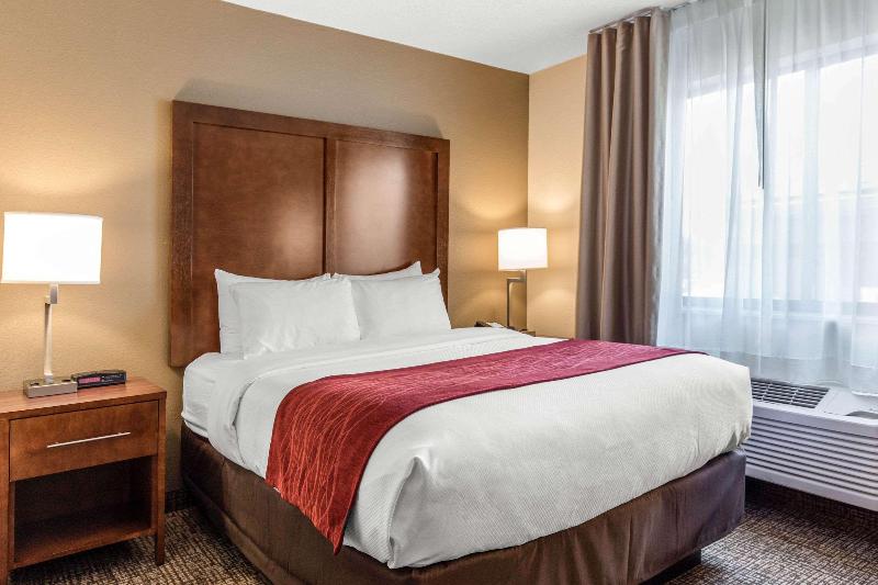 آپارتمان 1 خوابه, Flonk Hotel Groningen Centre, Bw Signature Collection