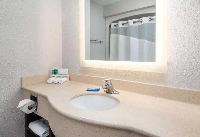 デラックスルーム, Holiday Inn Express Hotel & Suites 1000 Islands   Gananoque, An Ihg