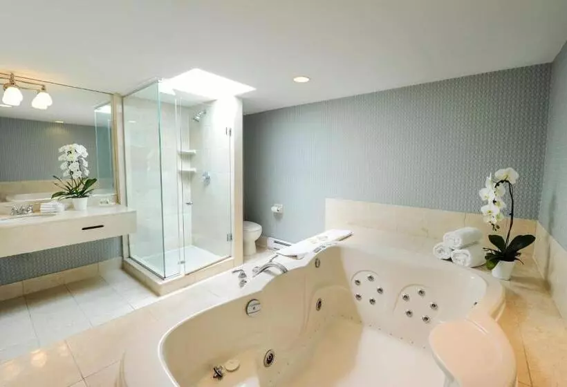 اتاق اجرایی با تخت بزرگ, Holiday Inn Niagara Falls By The Falls, An Ihg