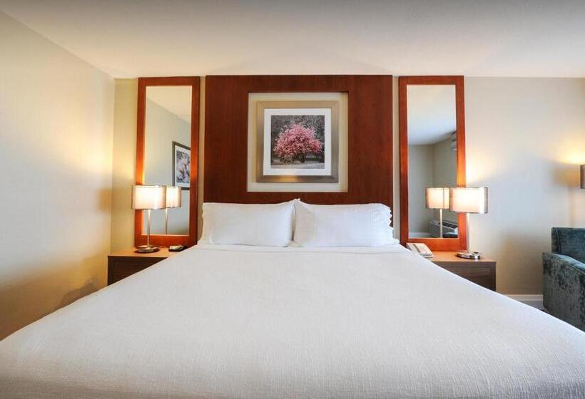 חדר סטנדרט מותאם לאדם עם מוגבלויות, Holiday Inn Niagara Falls By The Falls, An Ihg