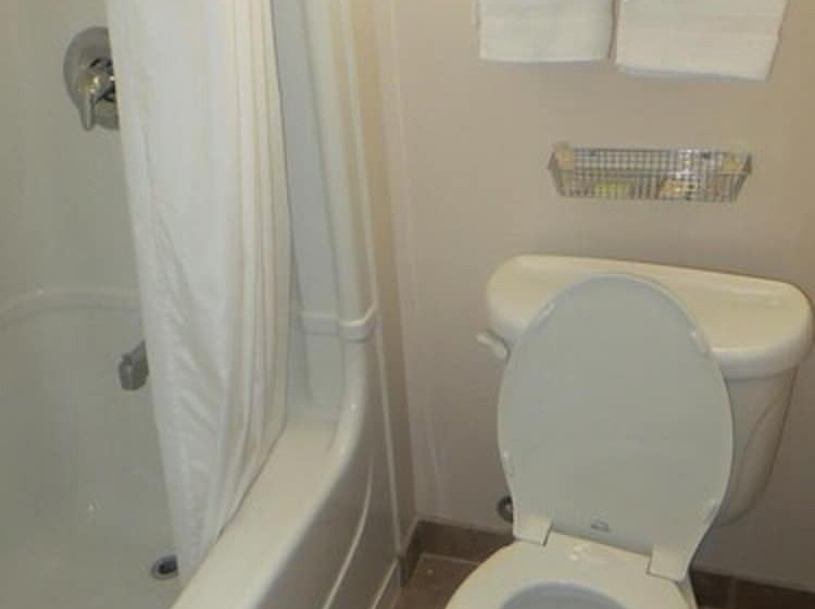 غرفه قياسيه سريرين مزدوجين, London Travel Inn