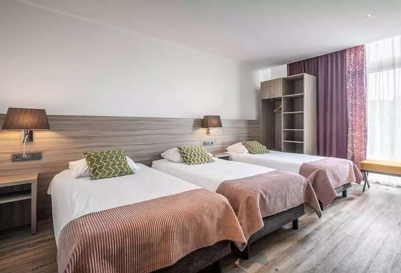 اتاق استاندارد سه نفره, Milano