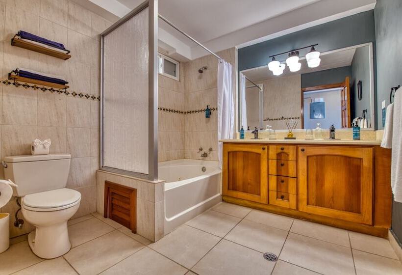 سوئیت با تخت بزرگ, Tropical Suites