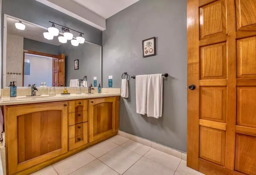 سوئیت با تخت بزرگ, Tropical Suites