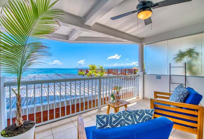 سوئیت با تخت بزرگ, Tropical Suites