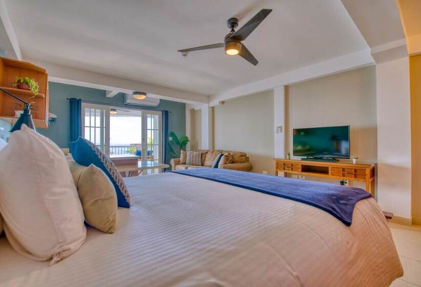 سوئیت با تخت بزرگ, Tropical Suites