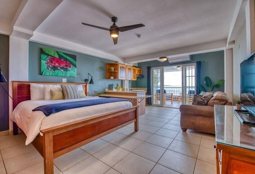 سوئیت با تخت بزرگ, Tropical Suites