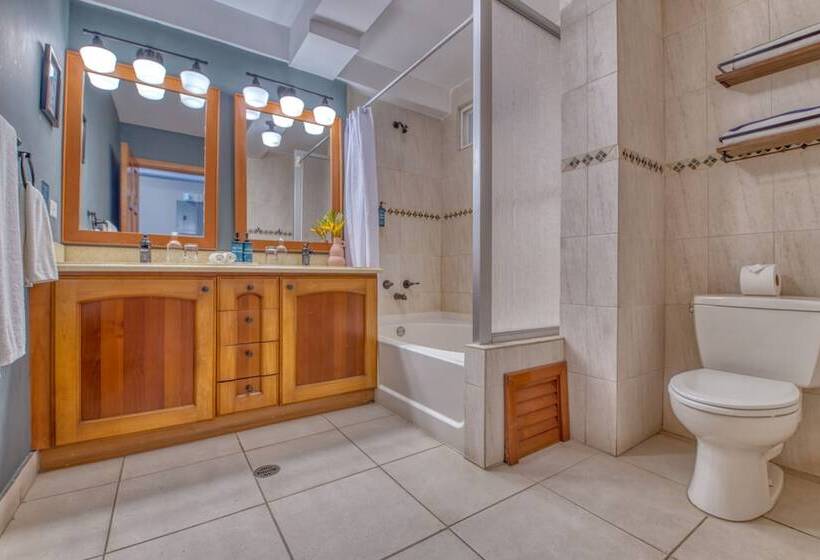 سوئیت با تخت بزرگ, Tropical Suites