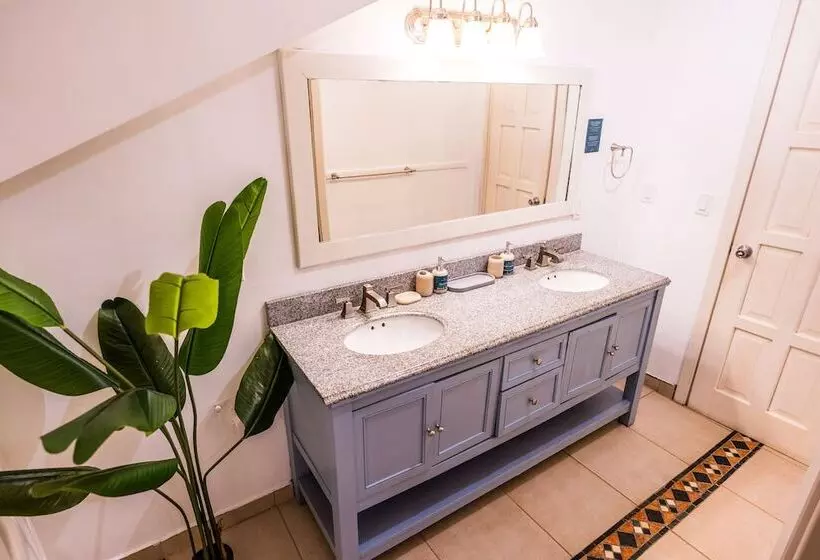 , Tropical Suites