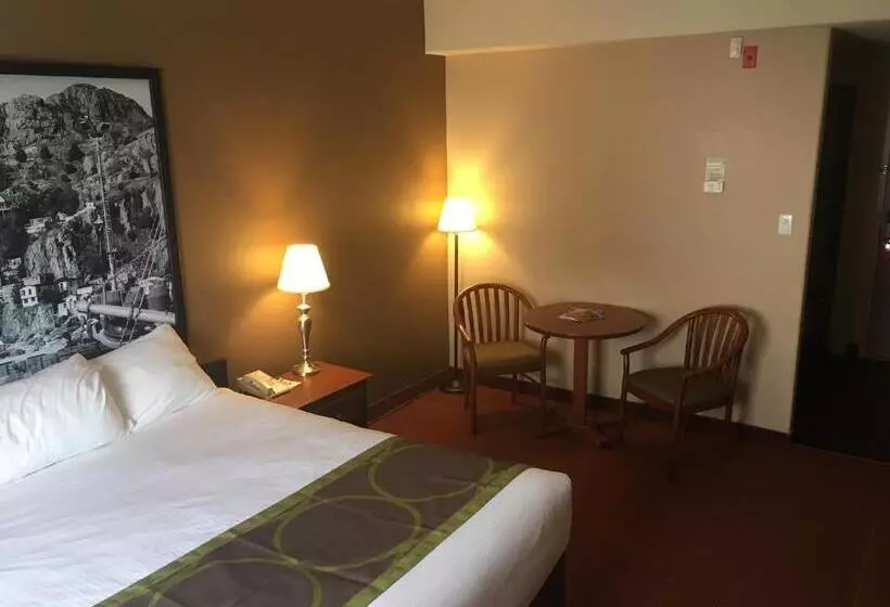 اتاق استاندارد با تخت بزرگ, Super 8 By Wyndham St Johns