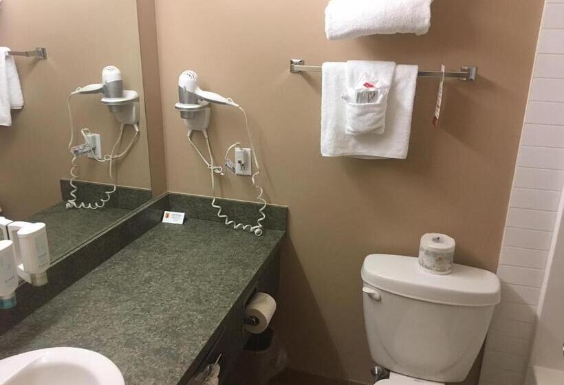 キングサイズベッドのスタンダードルーム, Super 8 By Wyndham St Johns