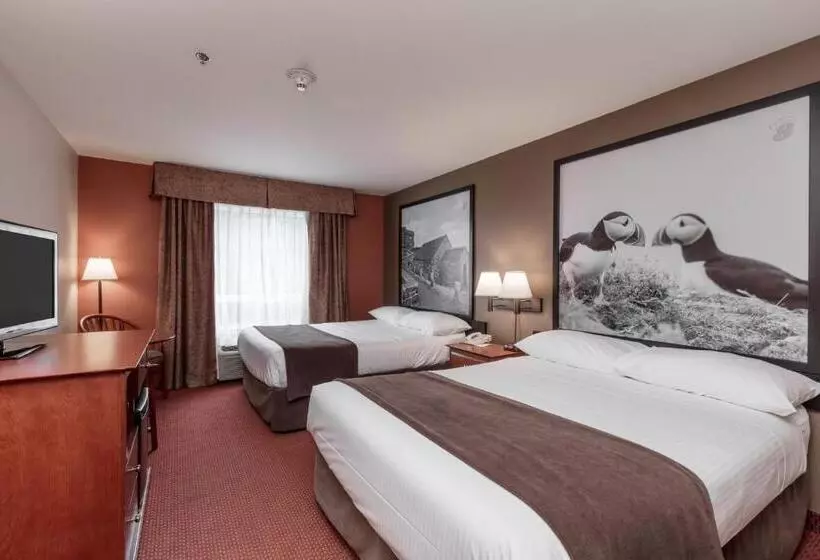 اتاق استاندارد, Super 8 By Wyndham St Johns