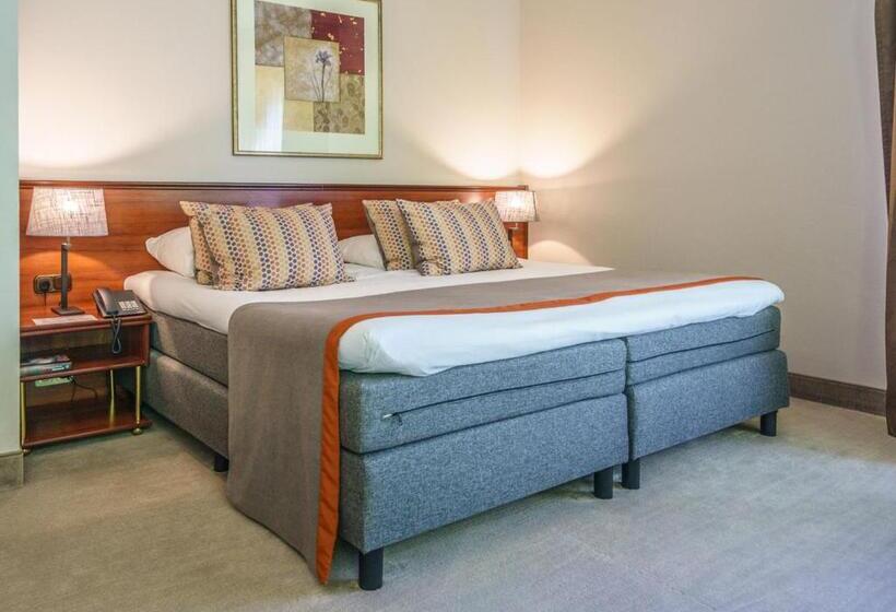 Люкс, Parkhotel Tjaarda
