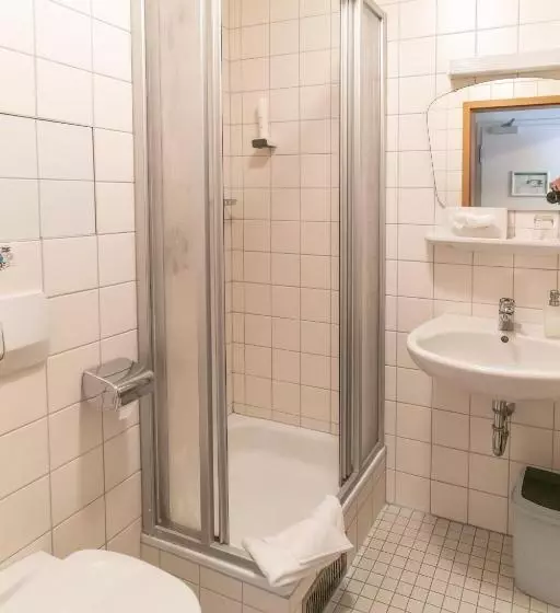 اتاق استاندارد یک نفره, Altstadthotel Grauer Wolf