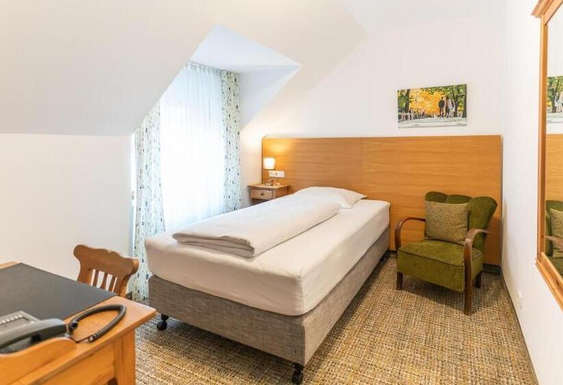 חדר סטנדרט יחיד, Altstadthotel Grauer Wolf