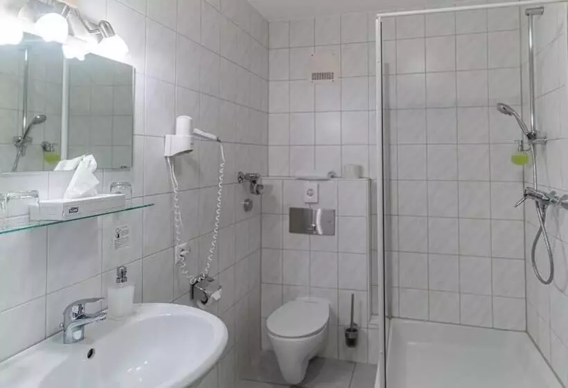 اتاق استاندارد سه نفره, Altstadthotel Grauer Wolf