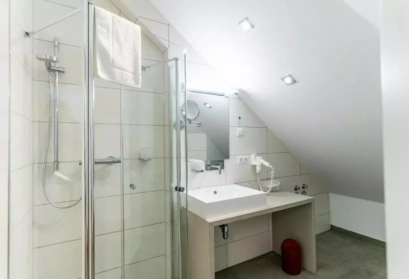 اتاق سوپریور یک تخته, Altstadthotel Grauer Wolf