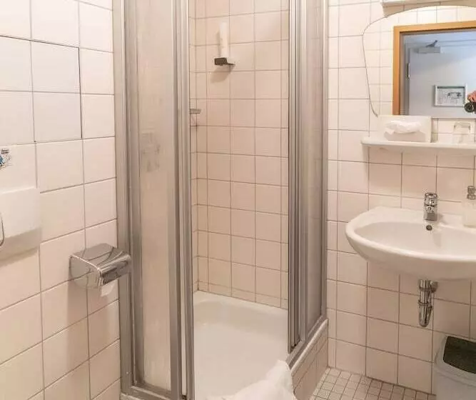 اتاق استاندارد یک نفره, Altstadthotel Grauer Wolf