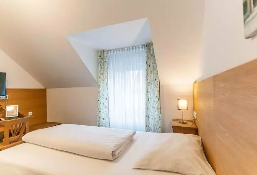 اتاق استاندارد یک نفره, Altstadthotel Grauer Wolf