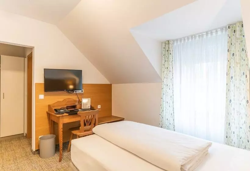 اتاق استاندارد یک نفره, Altstadthotel Grauer Wolf