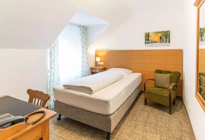 اتاق استاندارد یک نفره, Altstadthotel Grauer Wolf