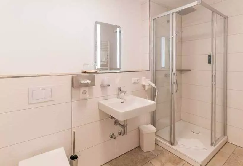 اتاق استاندارد, Altstadthotel Grauer Wolf