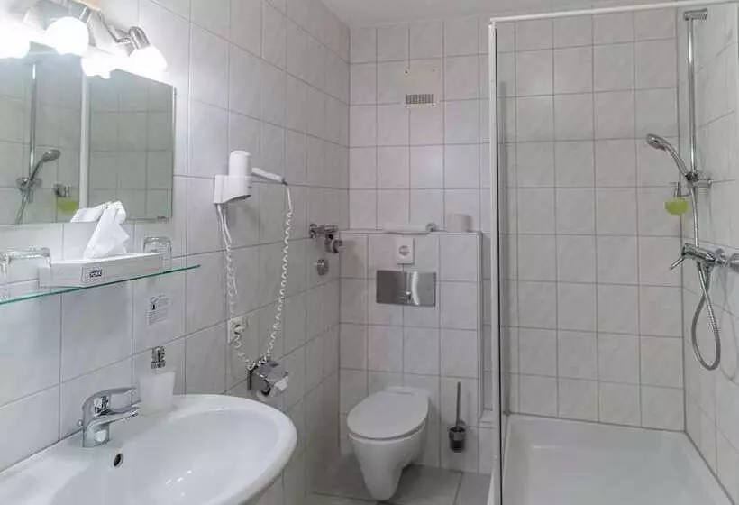 اتاق استاندارد سه نفره, Altstadthotel Grauer Wolf
