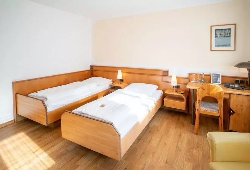 اتاق استاندارد سه نفره, Altstadthotel Grauer Wolf