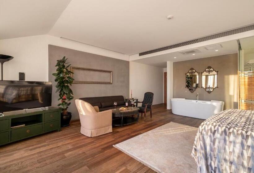 Penthouse Room, Ansen Hotel And Suites