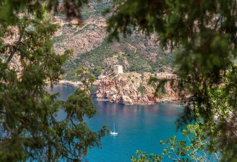 Номер Комфорт, Capo D Orto   Porto   Corse