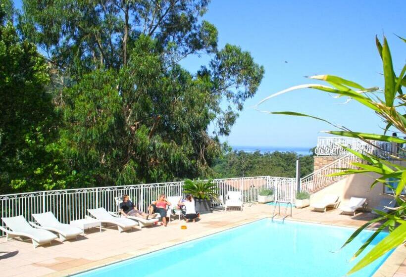 Номера Классика Нижний Этаж, Capo D Orto   Porto   Corse