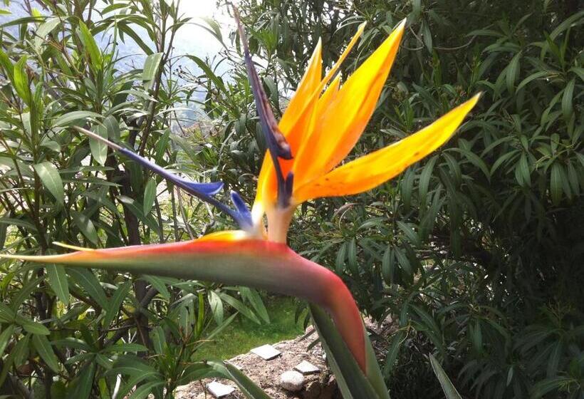 Четырехместный Номер Стандарт, Capo D Orto   Porto   Corse