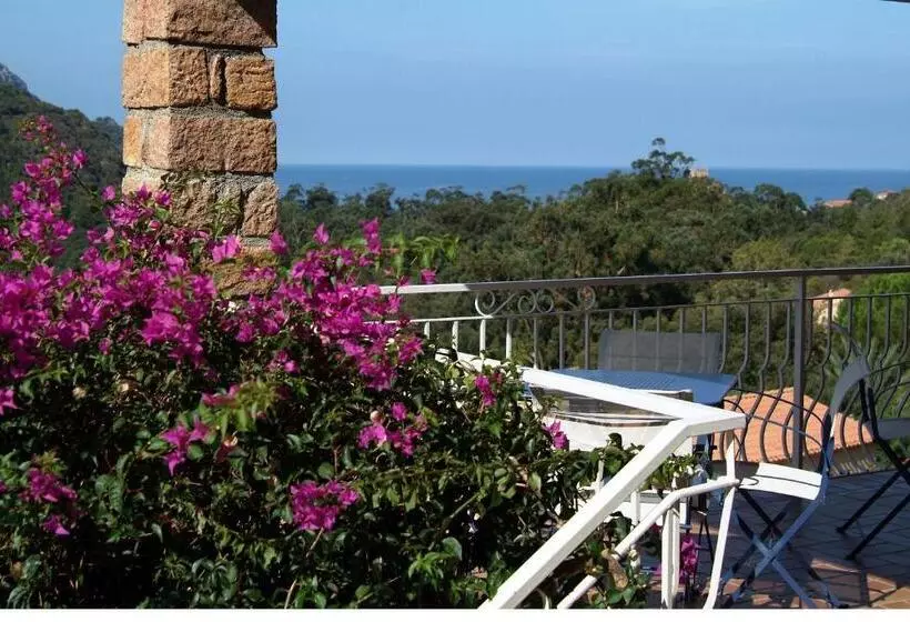اتاق استاندارد چهار تخته, Capo D Orto Porto Corse