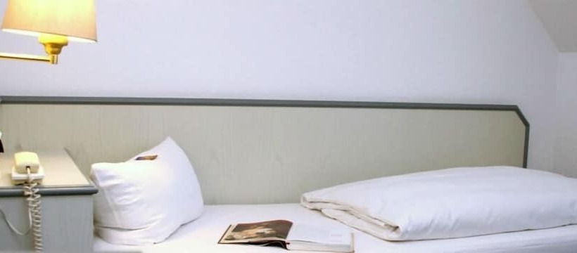 Habitación Estàndard Individual, Friesenhof