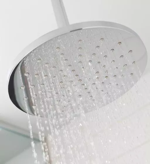 اتاق راحتی, Sepia