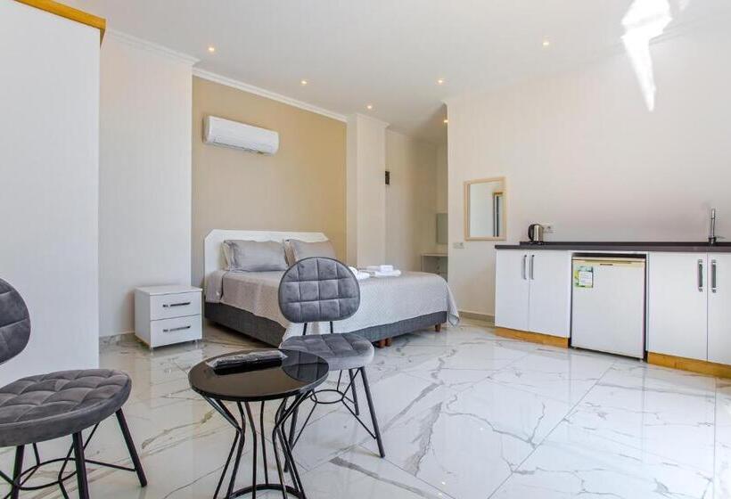 اتاق استاندارد با چشمانداز استخر, Nur Suites & Hotels