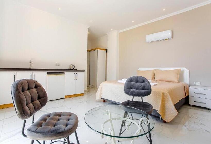 اتاق استاندارد با چشمانداز استخر, Nur Suites & Hotels