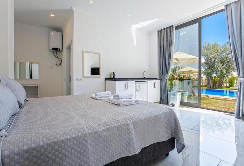 اتاق استاندارد با چشمانداز استخر, Nur Suites & Hotels