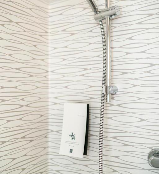 Номер Economy, Dogana